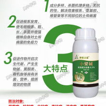 【番茄疫病青枯病枯萎病防治用药青枯立克氯溴异氰尿酸】-