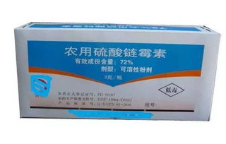 如何识别 怎么防 用什么药 关于柑橘溃疡病,最全知识都在这了